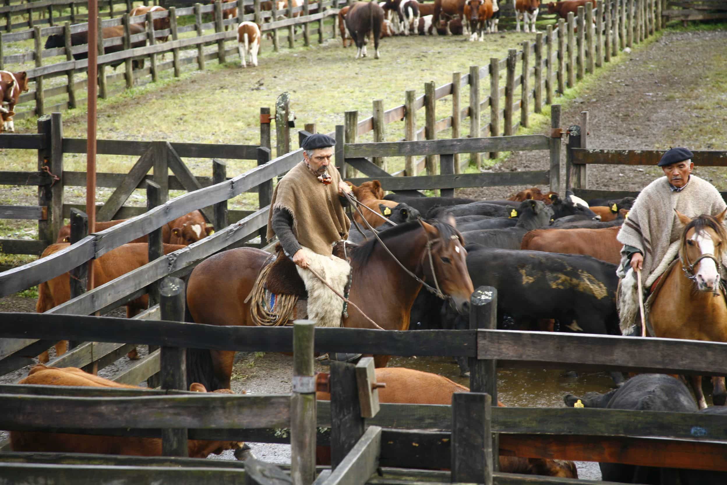 Best time to visit Patagonia April is the month to experience estanciafarm stay.
