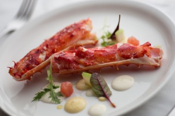 A Taste of Patagonia 