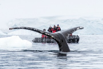 Adventures in Antarctica | Seaventure