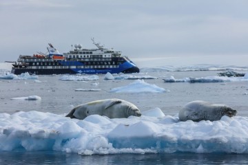 Adventures in Antarctica | Ocean Albatros