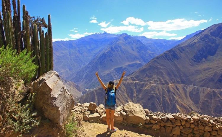 Andean Mountains