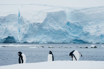 Antarctic Explorer Express