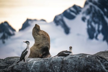 Antarctica, S Georgia & Falkland Islands | Venture