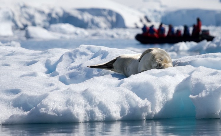 Antarctica 2