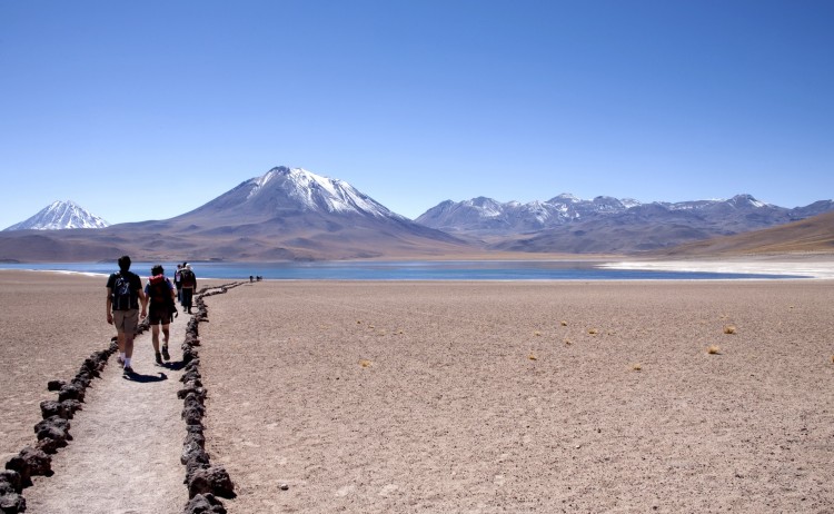 Atacama 8