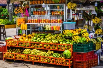 Cocora Valley Coffee Region Experience