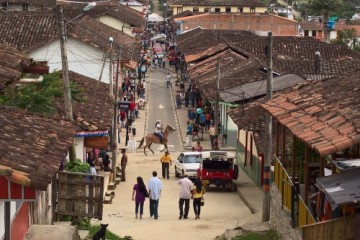 Cocora Valley Coffee Region Experience