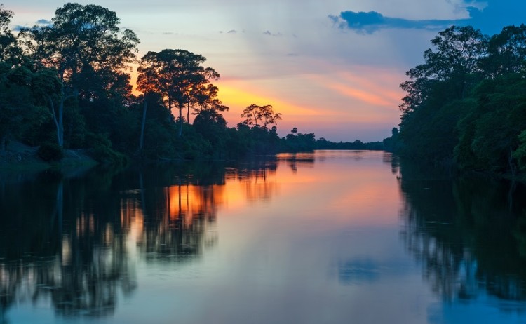 Amazon Rainforest 