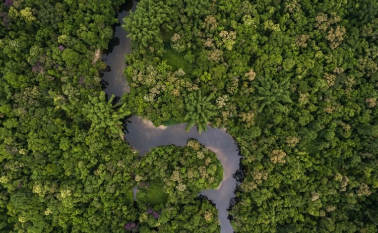 Amazon river arial view v2