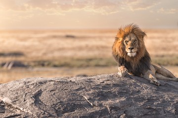 Enchanting Meru and Masai Mara