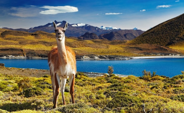 By Dmitry Pichugin shutterstock 118969348 800