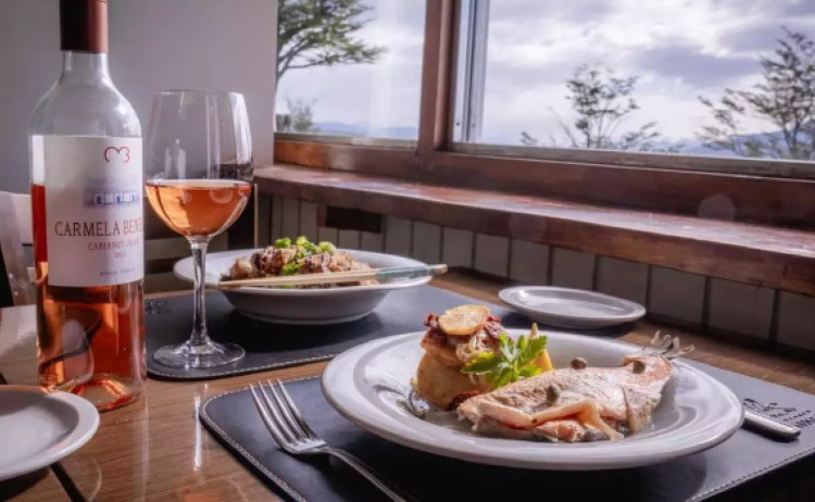 Hosteria Kaiken Tierra del Fuego Malbec v2