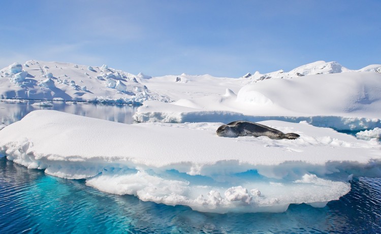 Antarctica 3 v2