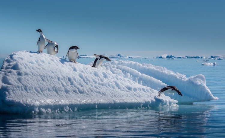 Antarctica 4