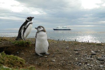 Fjords of Tierra Del Fuego: Patagonia Cruise 