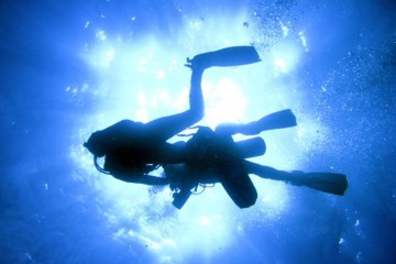 Galapagos: Dive Cruise  |  Aqua 8 Days