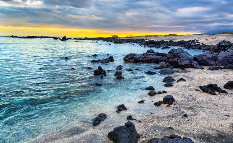 Galapagos