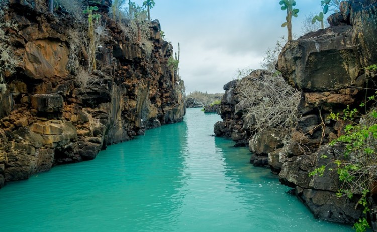 Galapagos