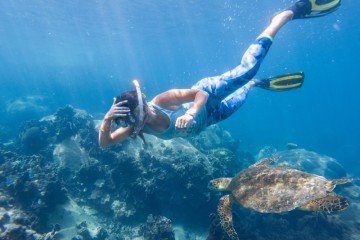 Galapagos: Seaman Journey | 5 days