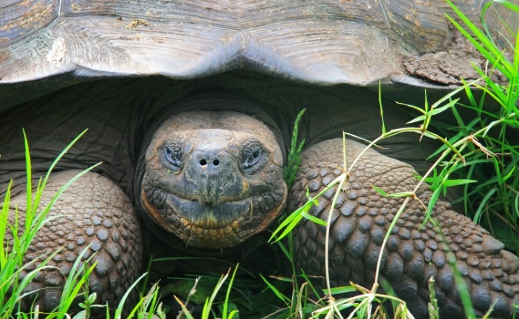 shutterstock 118794931
