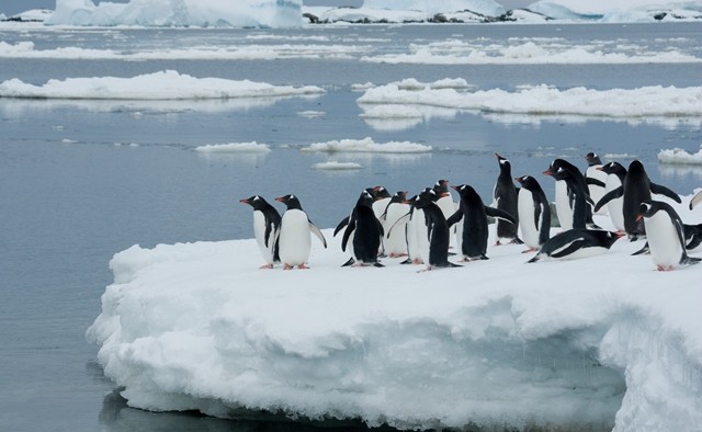 Antarctic circle..