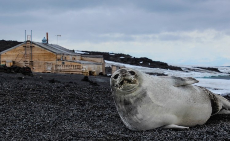 cape evans Ross Sea Heritage