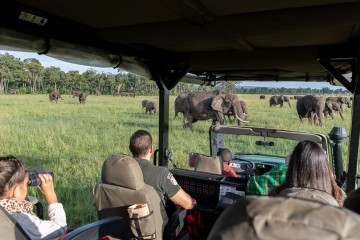 Masai Mara Deluxe Fly-in
