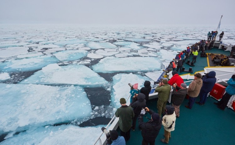 Pack ice spitsbergen