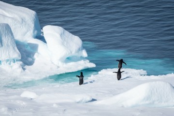 Polar Circle, Deep South Discovery Voyage