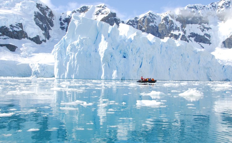 zodiac cruise 144