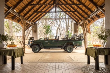 Shiduli Wildlife Immersion