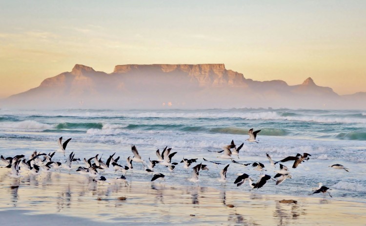 table mountain small