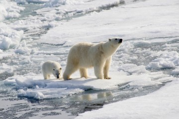 Spitsbergen Highlights