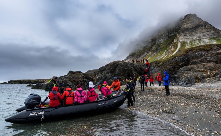 Alkehornet 2 Svalbard