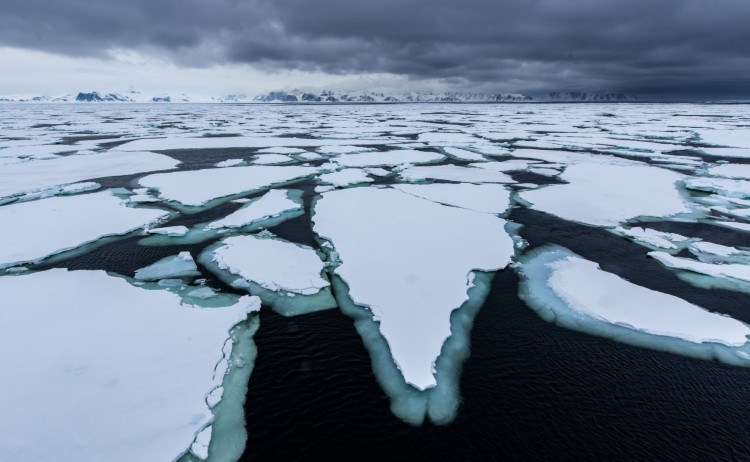 Pack Ice 2 Svalbard