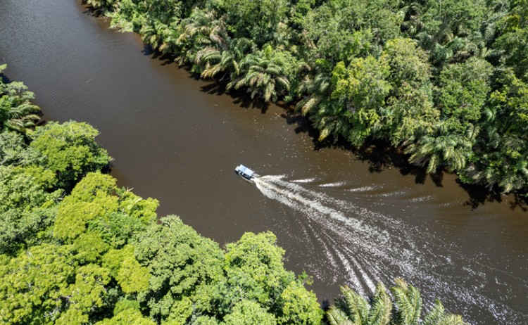 Tortuguero