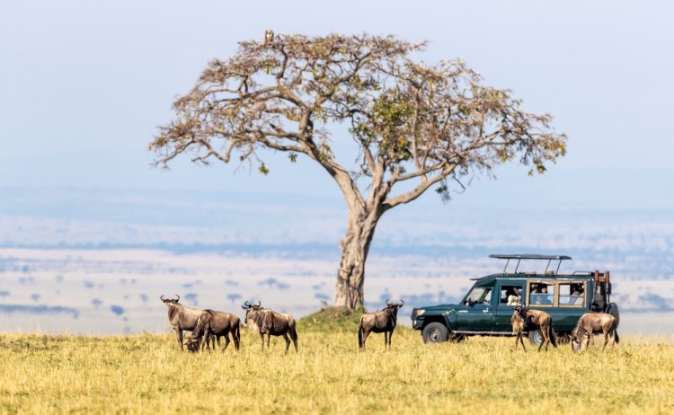 SMALL Masai Mara Kenya shutterstock 1793155393