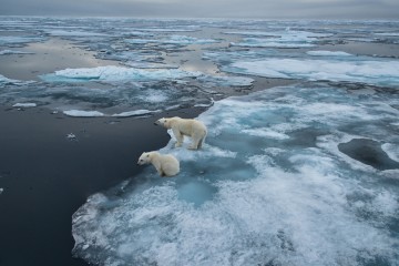 Under the Northern Lights: Greenland & Iceland