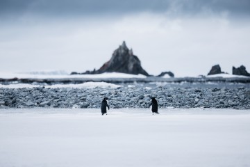 Unexplored Antarctica between Two Continents