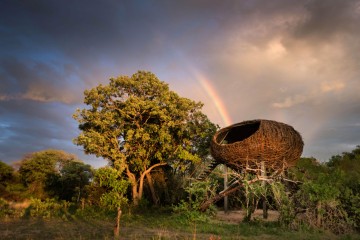 Unique Stay: Chisa Busanga Camp
