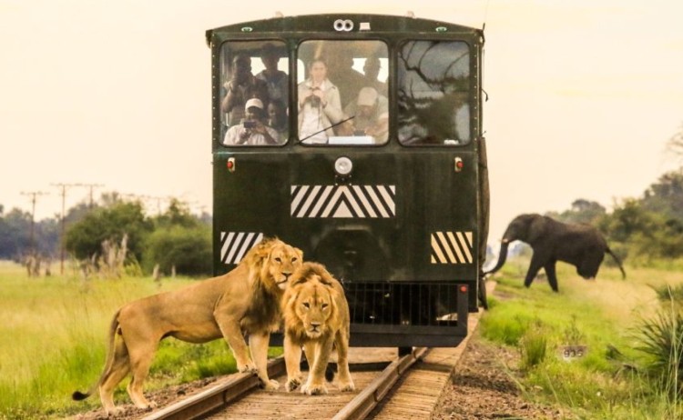 elephant express v2