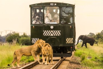 Victoria Falls and Hwange in depth