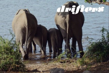 Botswana Adventure: Small Group