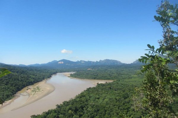 Amazon Rainforest 223195 10151540533434079 1218409810 n 800