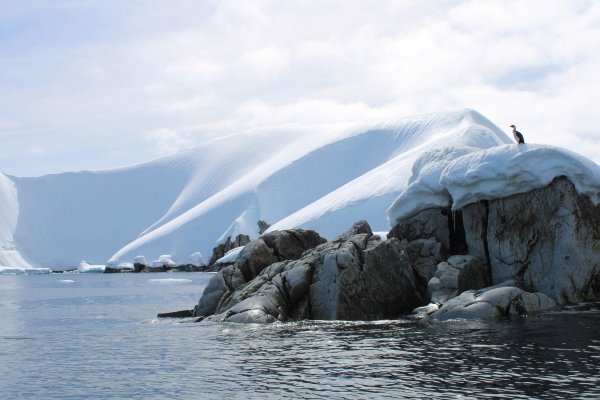 Antarctica shore expedition