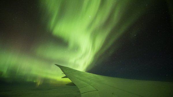 View in Economy with Wing Left Economy Wing Brad Phipps 7 2 32 3