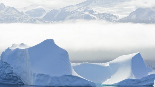Arctic Arctic