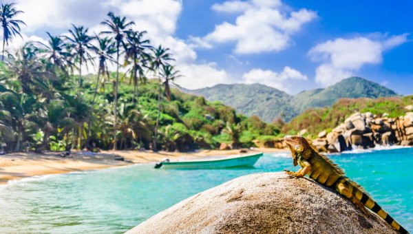 Tayrona Colombia Best place to travel in South America for Beach holiday Colombia