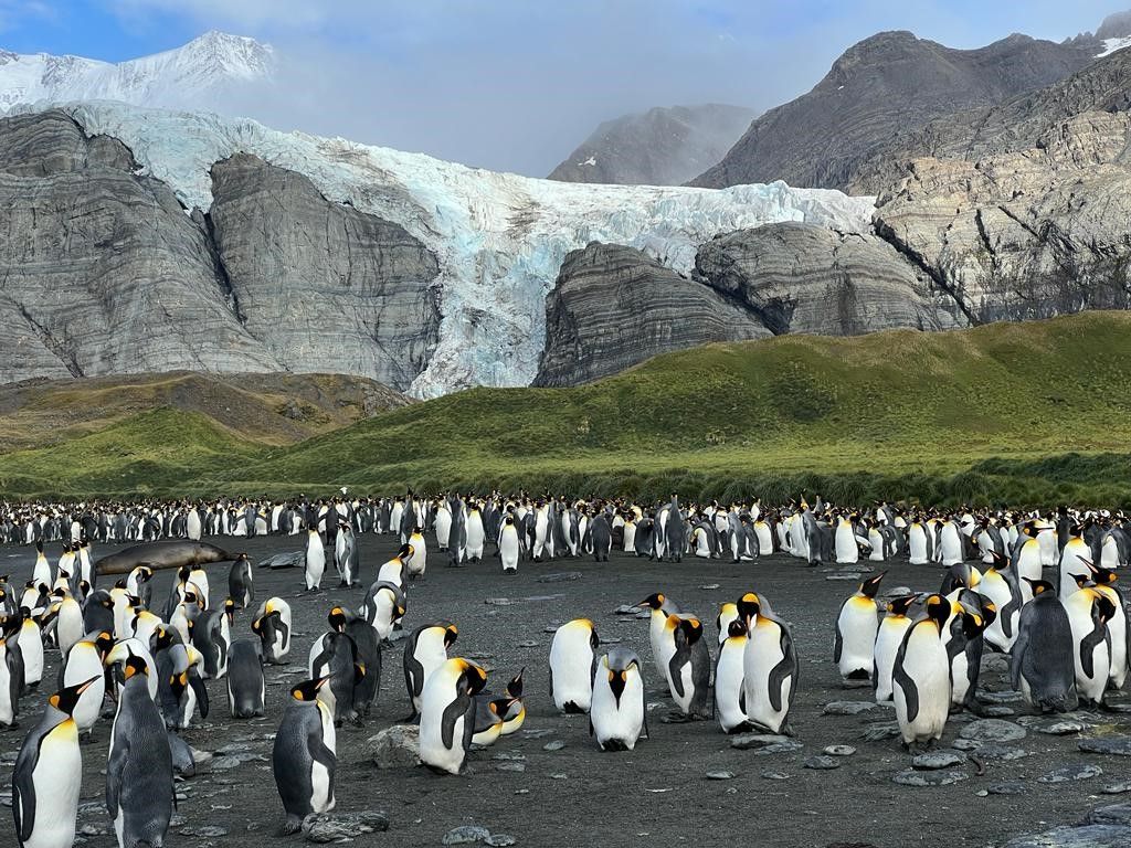 Hike in South Georgia